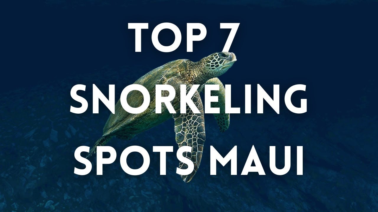 7 Best Snorkeling Spots Maui 4K