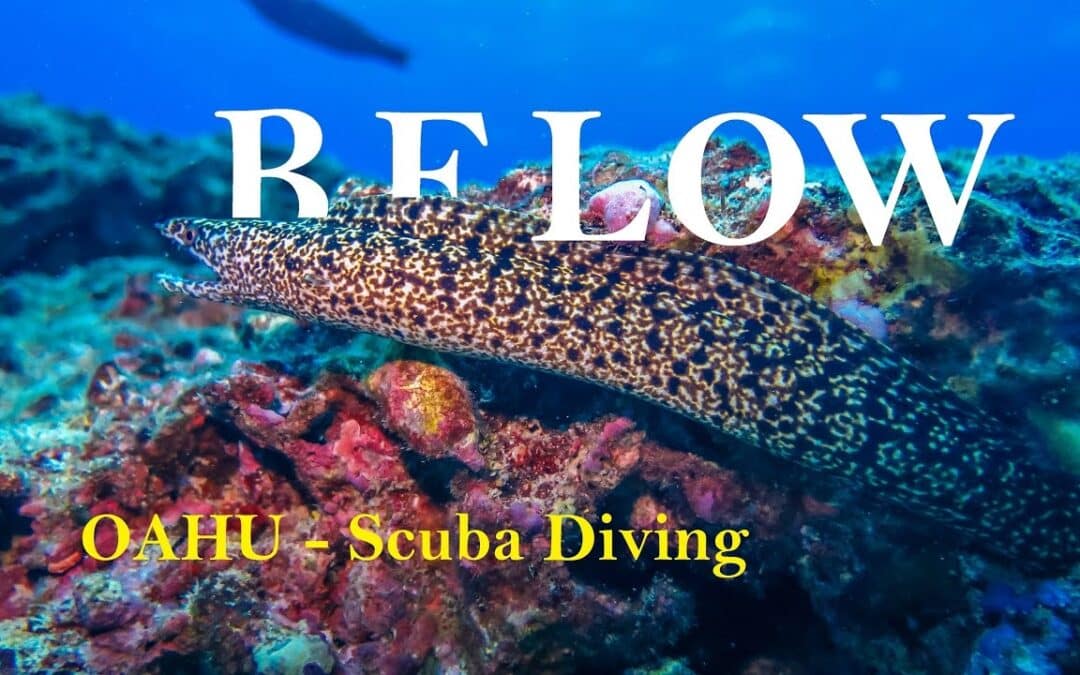 BELOW – Oahu Awesome Scuba Diving  GoPro 4K – Hawaii