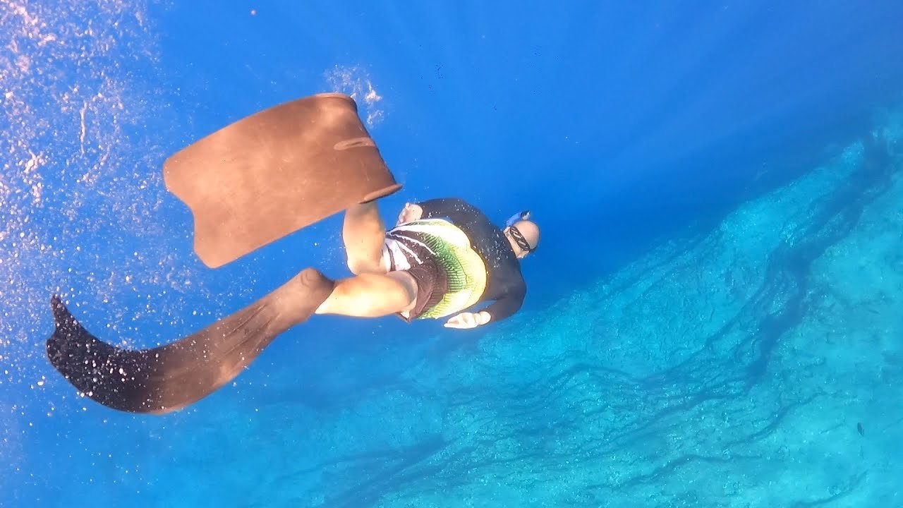 Best snorkeling adventure in Kauai Hawaii - Niihau the forbidden island Best snorkeling adventure in Kauai Hawaii - Niihau the forbidden island