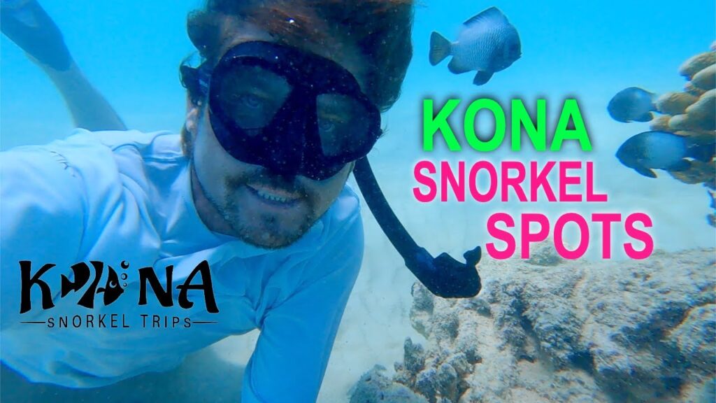 Best Snorkeling Big Island Guide: Kona Snorkeling in Kailua Bay