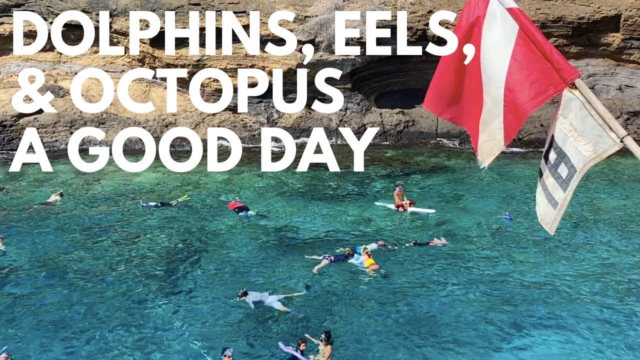 Molokini Snorkeling Tour (Maui) | Is a Molokini Crater Snorkel Trip Worth It?