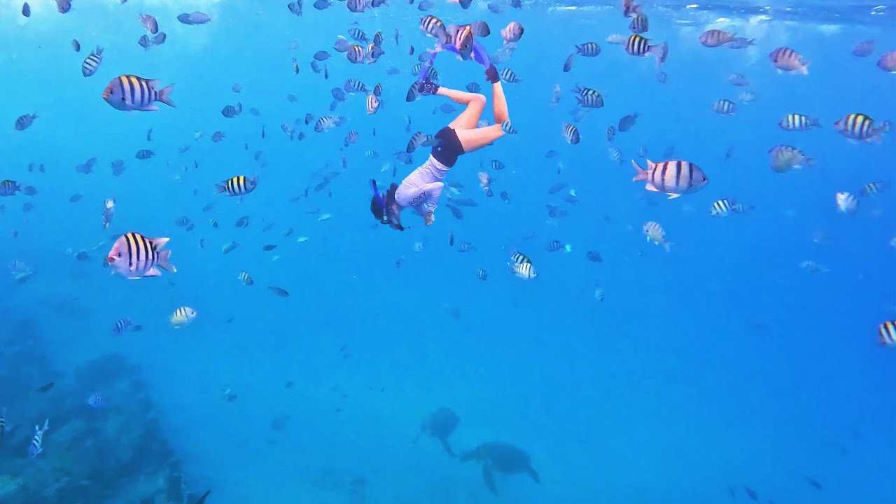 Snorkeling Electric Beach Oahu (Kahe) and Eating the Best Manapuas from Honolulu Kitchen - Hawaii Snorkeling Electric Beach Oahu (Kahe) and Eating the Best Manapuas from Honolulu Kitchen - Hawaii