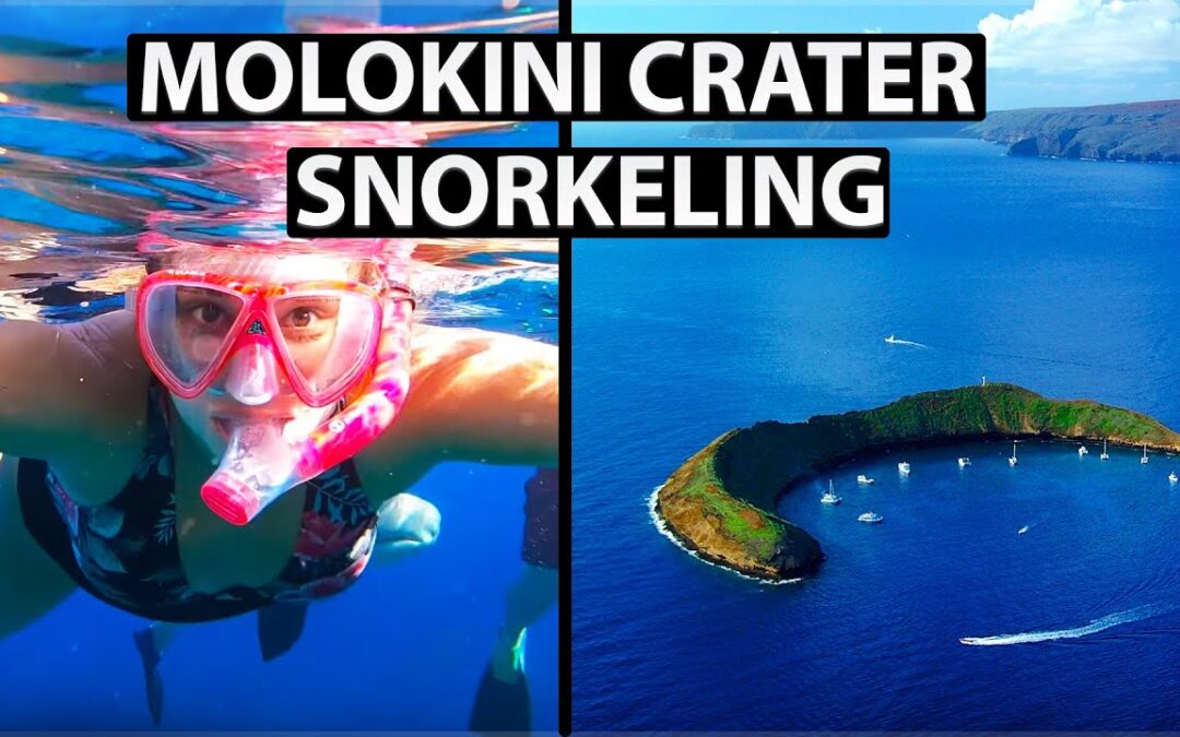 Snorkeling In Molokini Crater And Turtle Town On Maui Plus Lahaina Eats 1