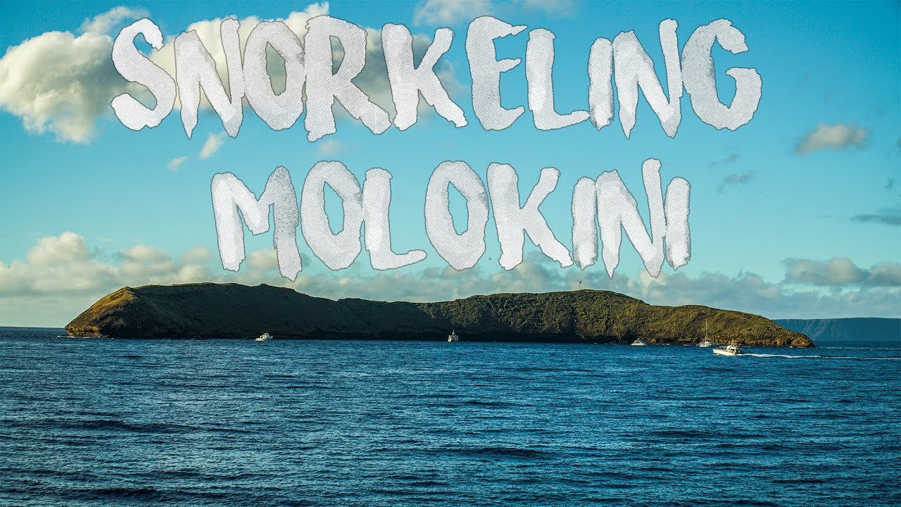 Snorkeling Molokini, Hawaii! 4K (Calypso Adventures, Maui) Snorkeling Molokini, Hawaii! 4K (Calypso Adventures, Maui)