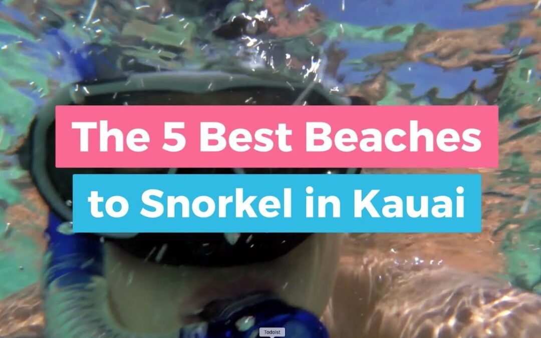 The 5 Best Beaches To Snorkel In Kauai 1