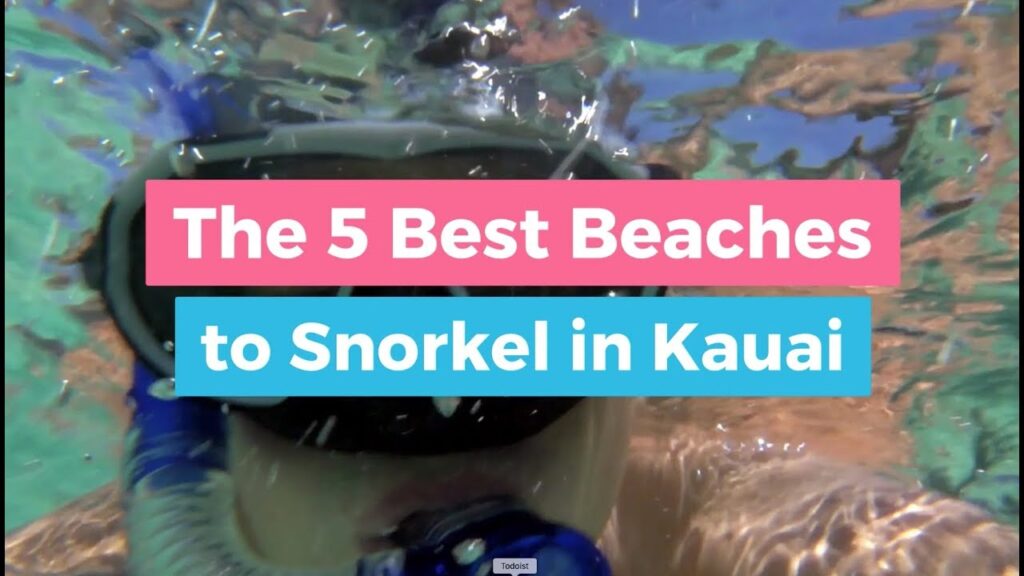 The 5 Best Beaches to Snorkel in Kauai