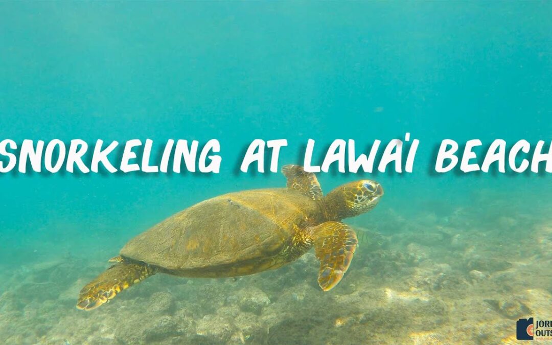 The Best Snorkeling At Lawai Beach On The South Side Of Kauai Hawaii 1