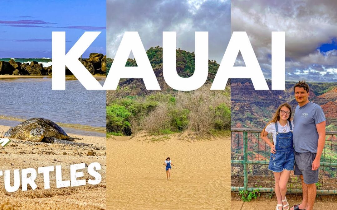 The Ultimate 1 Day In Kauai Snorkeling Off Roading Waimea Canyon 1