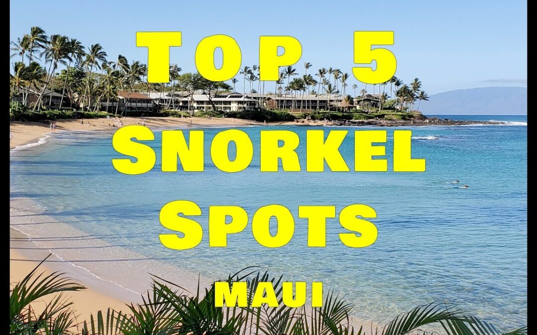 Top 5 Snorkel Spots Lahaina Maui Best Snorkel Spots On West Maui 1