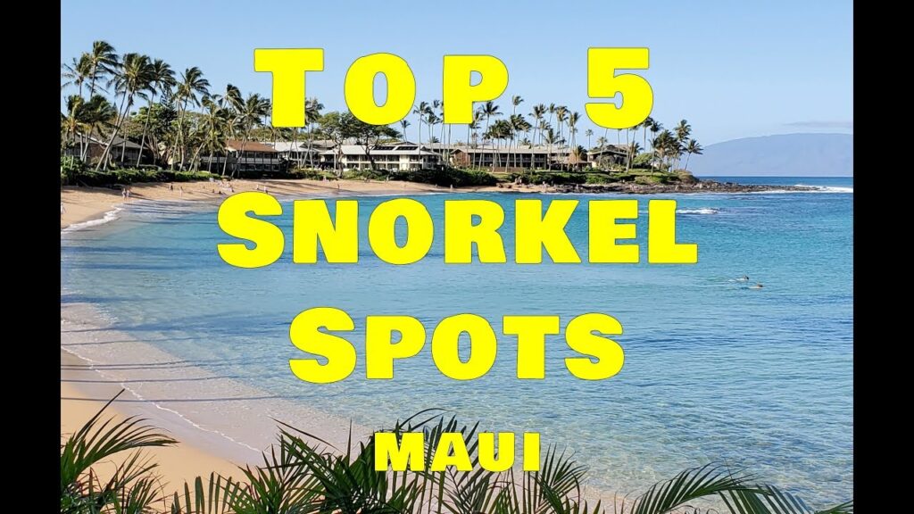 Top 5 Snorkel Spots Lahaina Maui. Best Snorkel Spots On West Maui.