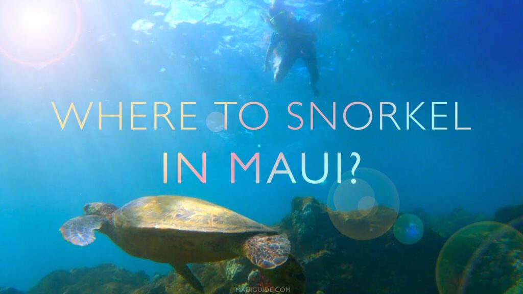 Where to Snorkel in Maui, Hawaii  |  Ulua / Mokapu Snorkeling  Scuba