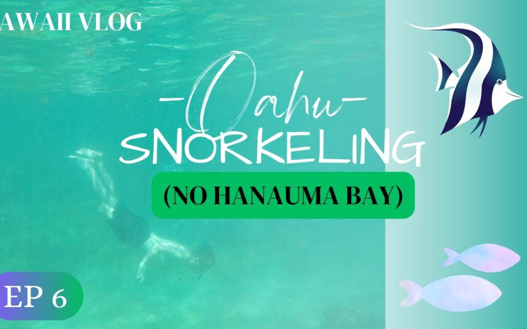 Where you can Snorkel in Oahu, Hawaii (Ep. 6)