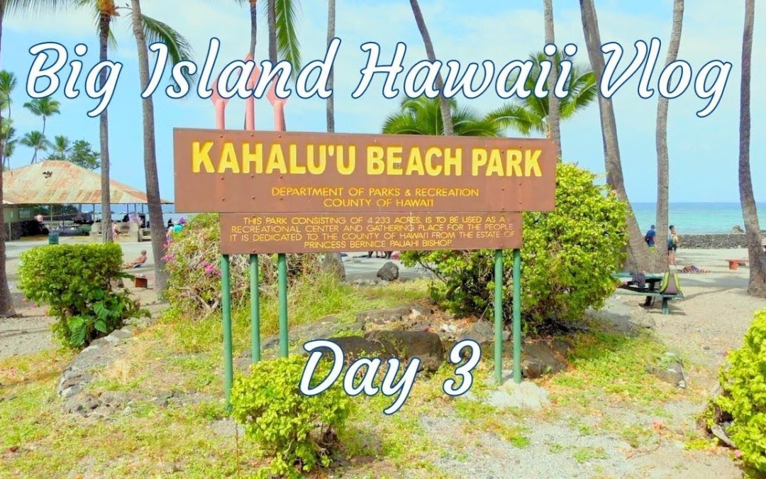 Big Island’s BEST Snorkeling & Happy Hour Spot – Hawaii Adventures! Day 3