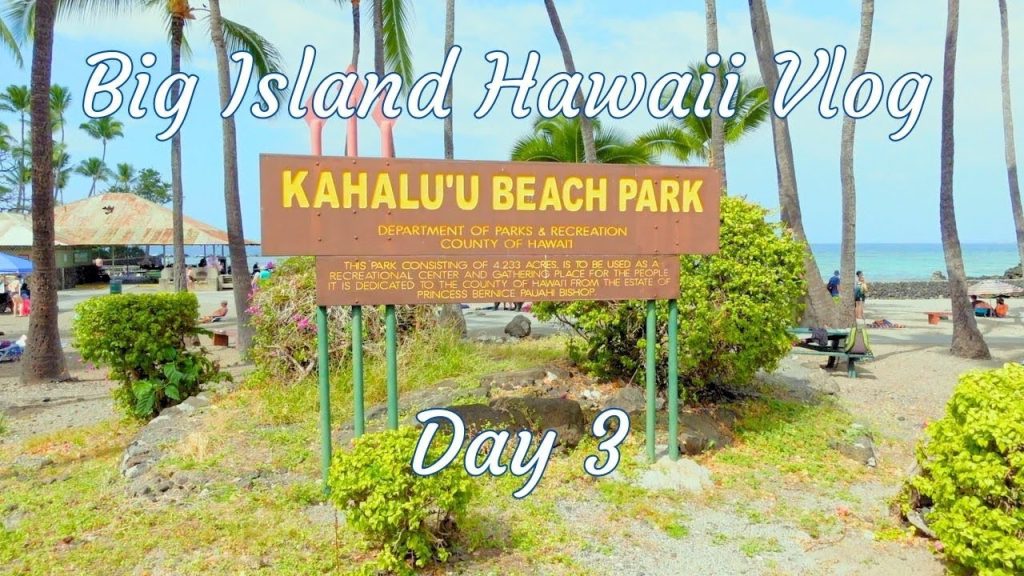 Big Islands BEST Snorkeling  Happy Hour Spot - Hawaii Adventures! Day 3