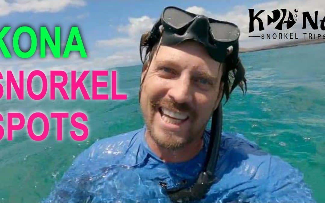 Kona Snorkeling at Kekaha Kai State Beach | Best Snorkeling on Big Island Guide