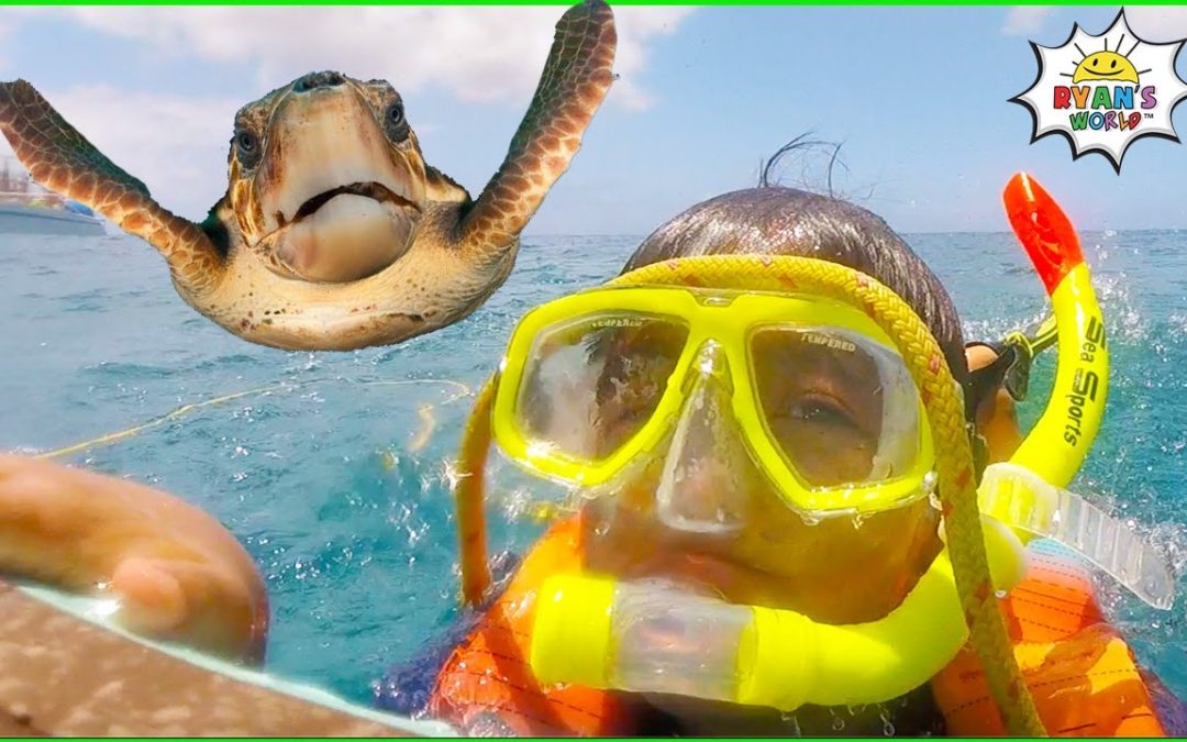 Ryan’s Snorkeling in the Ocean with Turtles!