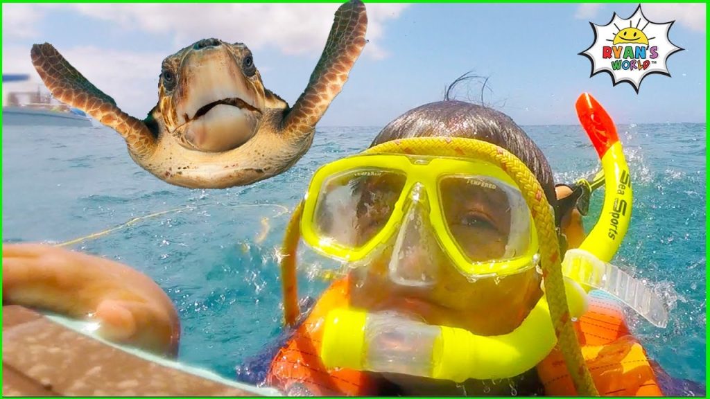 Ryans Snorkeling in the Ocean with Turtles!