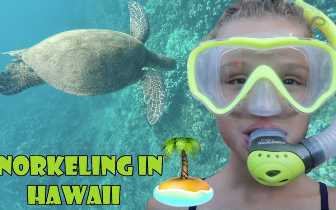 Snorkeling in Hawaii 🏝 (WK 343.5) | Bratayley