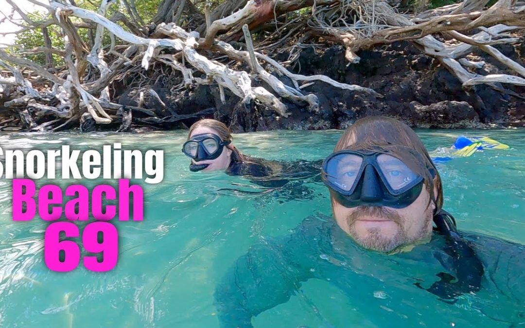 Where to Snorkel on Big Island Guide: Beach 69