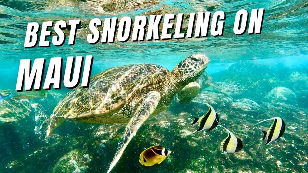 Where to Snorkel on Maui, Hawaii - Top 3 Maui Snorkel Spots - HAWAII FAMILY VACATION VLOG #hawaii