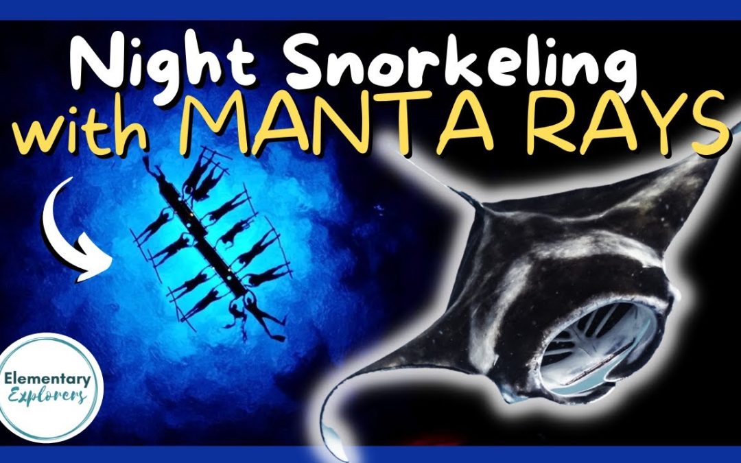 KIDS Snorkel with Manta Rays -AT NIGHT!- Night Manta Ray Snorkel Trip- Hawaii Oceanic – Kona, Hawaii