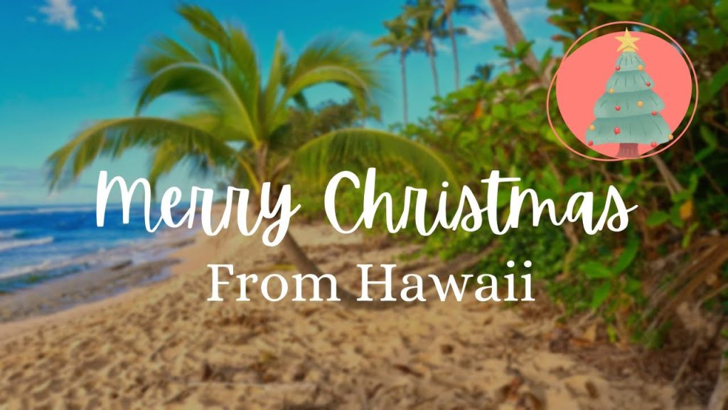 Merry Christmas🎄and Happy Holidays 🌟 from Hawaii 🌈 Christmas in Oahu