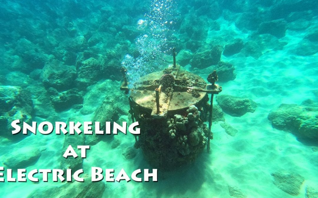 Snorkeling at Electric Beach (Kahe Point) – Oahu