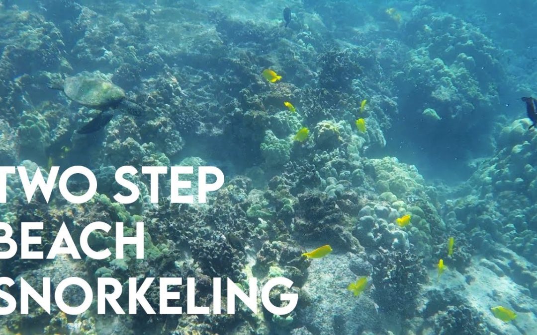 Snorkeling at Two Step | Best snorkel spots Big Island HAWAII