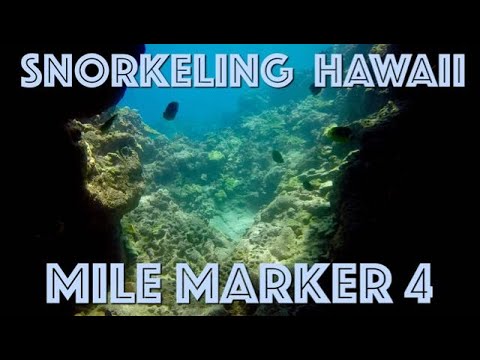 Snorkeling Review - Mile Marker 4, Hawaii (Big Island)