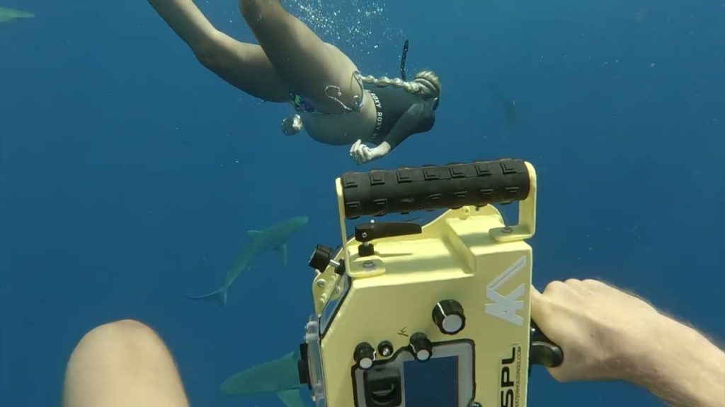 Freediving w/ SHARKS ASMR!