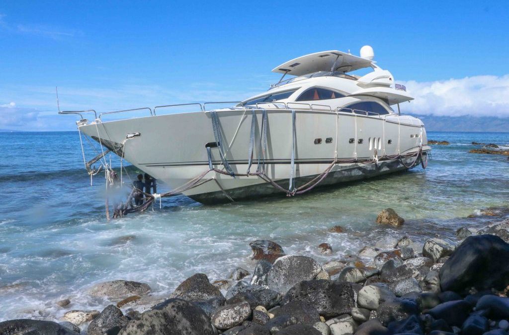 Coral damaged by grounded yacht ready to return to Honolua Bay after recovering in nursery