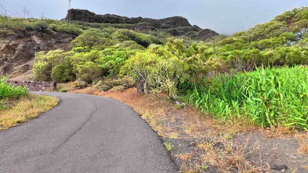 Affordable Koko Head Hike