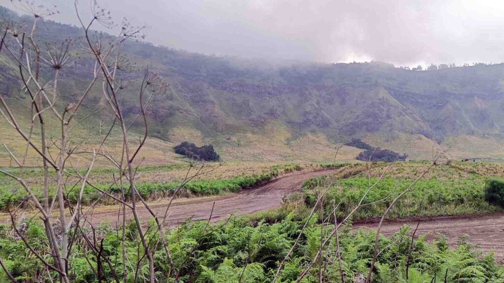 Big Island ATV Trail Ride