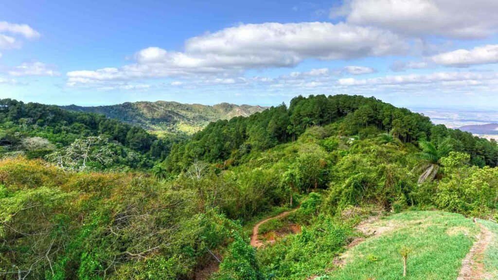 Farm to Forest Oahu