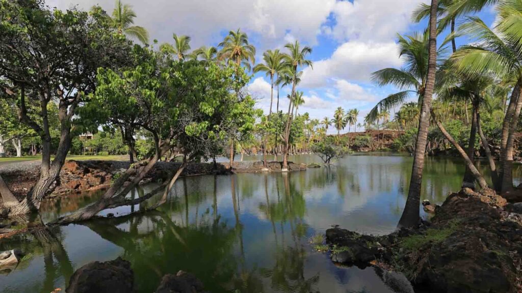 Hawaii Duck Tour Experience