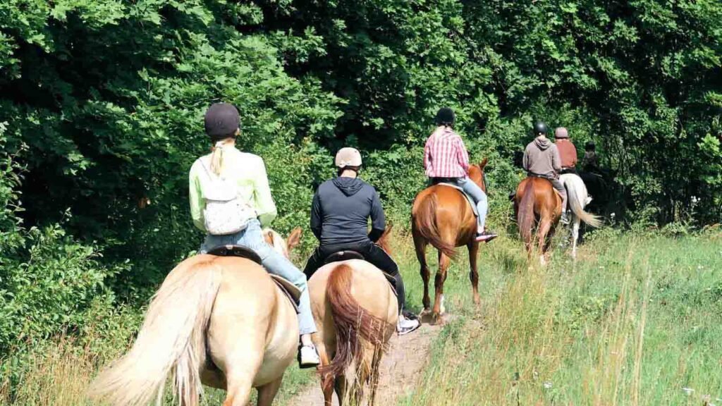 North Shore Horseback Oahu
