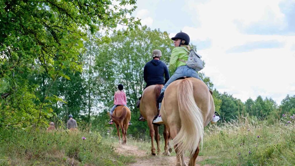 North Shore Horseback Tour