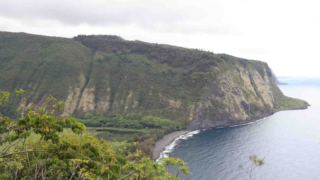 North Shore Nature Tour
