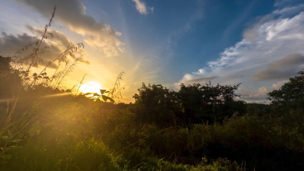 Oahu Sunset Ridge Tour