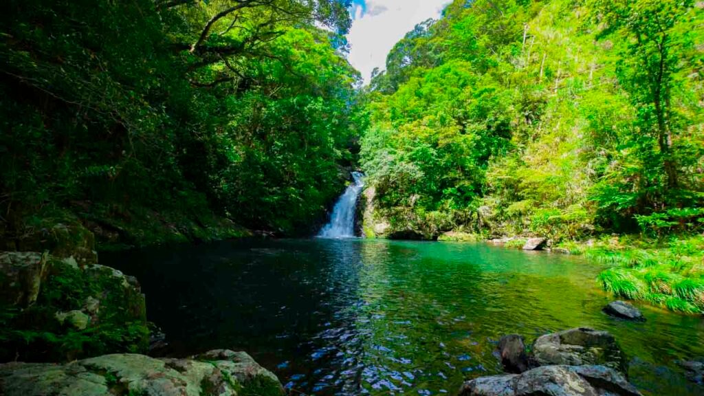Oahu Valleys Waterfall Tour