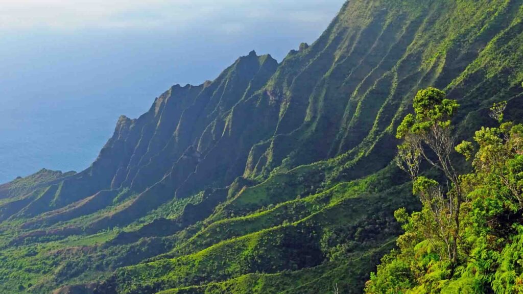 Polynesian Kauai Tour