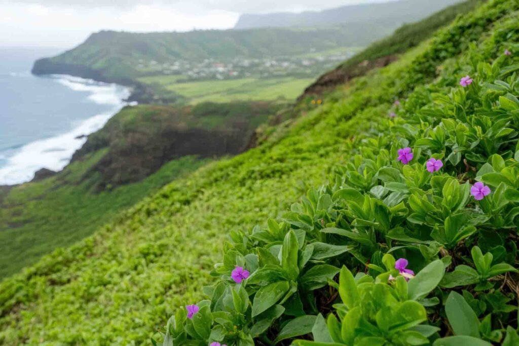 Restore Hawaii Native Species