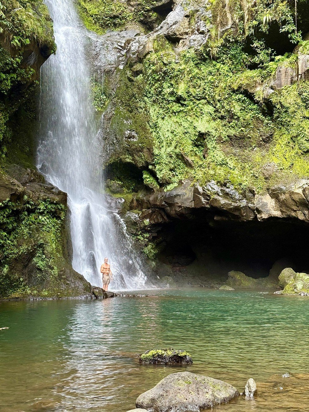 Hidden Gems Rainforest Tour