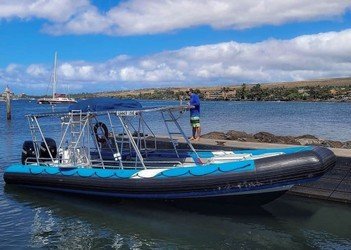 Semi-Private 3 Hour Eco-Raft Maui Turtle Snorkel f4