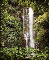 Deluxe Hana Tour f-6