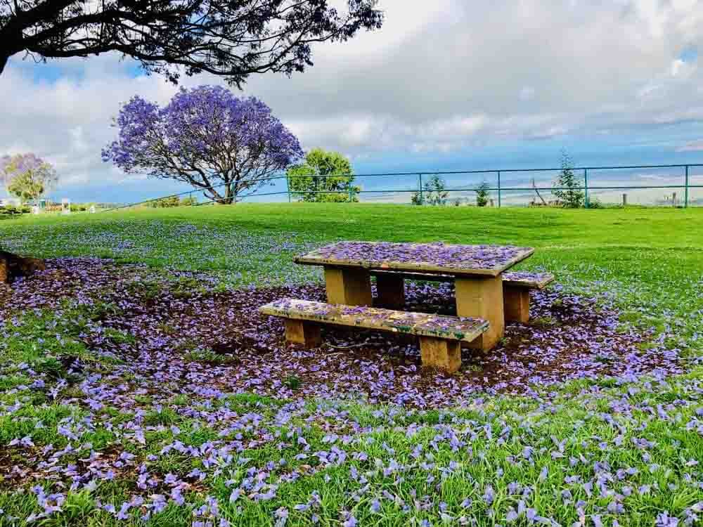 Haleakala & Upcountry image