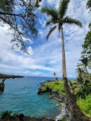 Private-Halfway-to-Hana-Tour-f-2