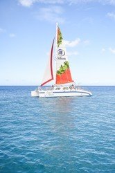 Kona Turtle Snorkel Sail with Lunch f-1