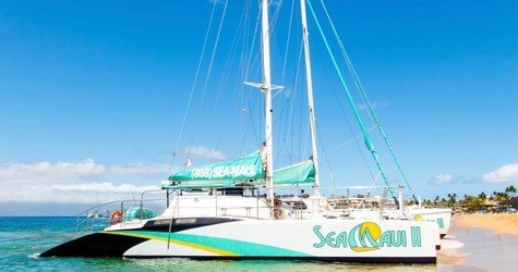 2 Hour Whale Watch F-2