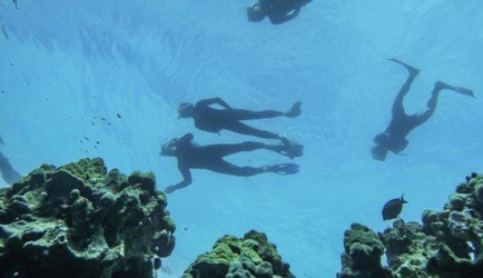 Best Big Island Snorkel f-3